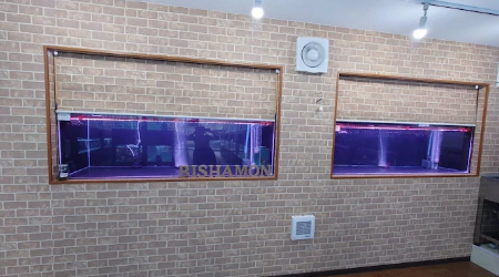 エキゾチック&アクア毘沙門のサブ写真2